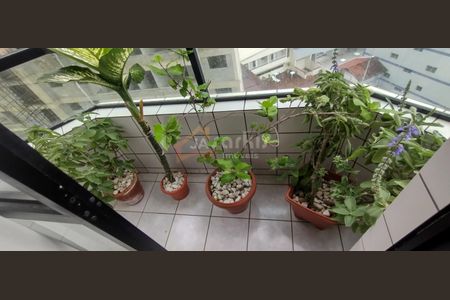 40_photo/94ce1f07e7.204943745ea1d376-ATLAS-b7209cfd-8dce-4db6-a7a6-218ec3d6f217.jpg de apartamento à venda com 1 quarto, 48m² em Nova Mirim, Praia Grande