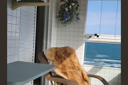 2_photo/94ce1fa7b5.ba3e4f1a03d92c8a-ATLAS-f002604d-a0b1-4076-b262-ee29d9db98ad.jpg de apartamento à venda com 3 quartos, 120m² em Nova Mirim, Praia Grande