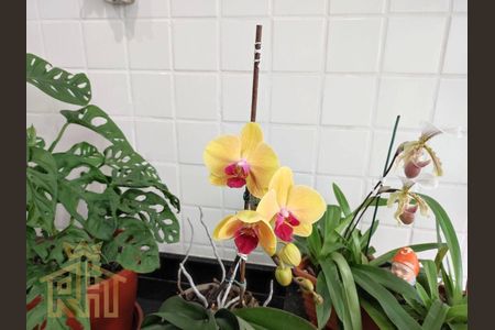 5_photo/94ce1fa9fd.f9fd596f8c1c84e9-ATLAS-c62e73b9-4643-4525-ae50-88ad266f8f5e.jpg de apartamento à venda com 2 quartos, 63m² em Cidade Ocian, Praia Grande