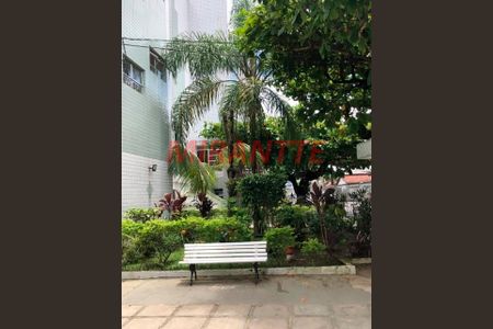 7_photo/94ce1faa7d.7be7a474fdeed64f-ATLAS-c0992c57-643c-4e86-95ef-a6af24f3142f.jpg de apartamento à venda com 1 quarto, 25m² em Cidade Ocian, Praia Grande