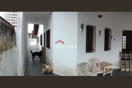 9_photo/94ce202951.1c30879e3ee593f9-ATLAS-6eb781e6-fc3a-43a8-b4e1-e8ca6da2bdd3.jpg de casa à venda com 4 quartos, 140m² em Vila Caiçara, Praia Grande