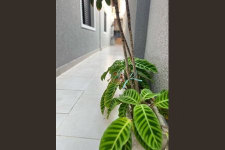 36_photo/94ce204941.5771fa6495c48db1-ATLAS-70b8e458-da8a-4d4d-a5e4-367713ee00ef.jpg de casa à venda com 3 quartos, 116m² em Vilamar, Praia Grande