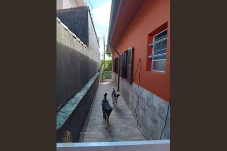 25_photo/94ce20dcb3.958ab4e2955fd321-ATLAS-5113f573-d24a-4f48-a11b-53b466227bbb.jpg de casa à venda com 2 quartos, 180m² em Balneario Flórida, Praia Grande