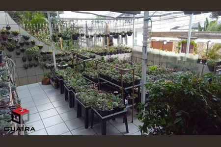 7_photo/94ce425b91.f7e81ba1849dc159-ATLAS-4d2df9bd-c103-4e76-820d-0e4c7e69d181.jpg de casa para alugar com 3 quartos, 243m² em Pinheirinho, Santo André