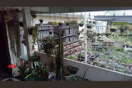 22_photo/94ce425b91.f7e81ba1849dc159-ATLAS-71e3e831-40c7-420c-9e7b-a88cab3393f6.jpg de casa para alugar com 3 quartos, 243m² em Pinheirinho, Santo André