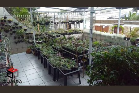 23_photo/94ce425b91.f7e81ba1849dc159-ATLAS-ca8b4cb6-20ca-4a5e-8a55-dc95ec268e3d.jpg de casa para alugar com 3 quartos, 243m² em Pinheirinho, Santo André