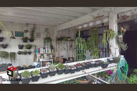 24_photo/94ce425b91.f7e81ba1849dc159-ATLAS-fb53b47e-bc3b-47ba-a956-237c59f151a5.jpg de casa para alugar com 3 quartos, 243m² em Pinheirinho, Santo André