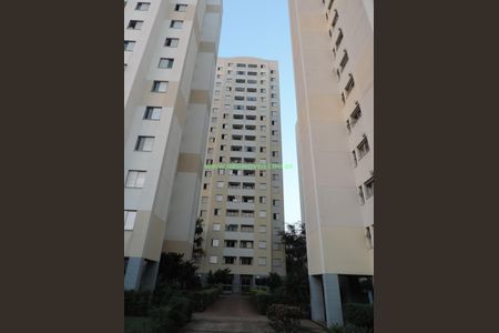 33_photo/94ce53e869.561b2e376af4fcf7-ATLAS-1e1fda3c-16ae-419e-9653-87f278b65490.jpg de apartamento para alugar com 2 quartos, 51m² em Chacara Nossa Senhora do Bom Conselho, São Paulo