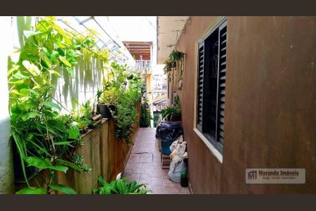 11_photo/94ce5401d9.5b63f18bcccc212e-ATLAS-c1be46ed-d334-4ad0-9f51-9a3e1830e073.jpg de casa à venda com 1 quarto, 47m² em Jardim Maria Duarte, São Paulo