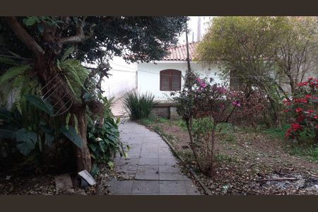 10_photo/94ce540d23.d505c9d9834fda44-ATLAS-82fa0e65-b89d-455f-9d9a-a818e83039a2.jpg de casa à venda com 3 quartos, 125m² em Jardim Campo Limpo, São Paulo