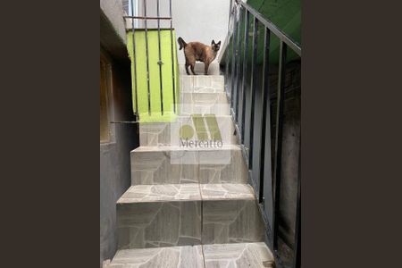 1_photo/94ce542fe7.e1d2c46bde3eb79c-ATLAS-6c4e3950-455e-4571-ac5f-977973a32c07.jpg de casa à venda com 2 quartos, 125m² em Jardim Celeste, São Paulo