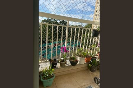 9_photo/94ce546b89.5ee21db8afc9f6ae-ATLAS-397ec1fd-2f2d-44b3-abf0-02f649567f96.jpg de apartamento à venda com 2 quartos, 70m² em Vila Sonia do Taboao, Taboão da Serra