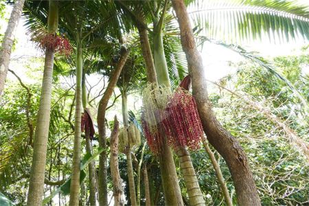 11_photo/94ce54dc49.1168d7f35de77434-ATLAS-c68912b0-8978-4ce6-967f-4e6e4b6bf655.jpg de casa de condomínio à venda com 4 quartos, 400m² em Condomínio Iolanda, Taboão da Serra