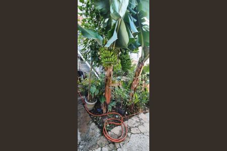 5_photo/94ce5501d7.358915be0f21f955-ATLAS-7fbef54a-4e8b-4648-ad16-4134dba2baa0.jpg de casa à venda com 2 quartos, 94m² em Jardim Paulo VI, São Paulo