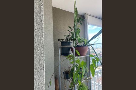 6_photo/94ce55fbc5.adbb37f92a381176-ATLAS-6f08a49c-5d76-4048-b8d1-9d5d4fd01b6c.jpg de apartamento para alugar com 2 quartos, 58m² em Cidade São Francisco, São Paulo