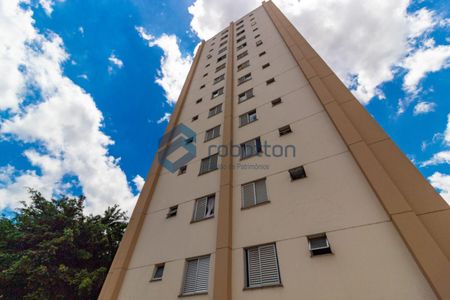 37_photo/94ce5ca6cd.38153d79977beed0-ATLAS-553da337-4d27-417b-9aed-40baa93d5f61.jpg de apartamento para alugar com 2 quartos, 50m² em Parque Fongaro, São Paulo