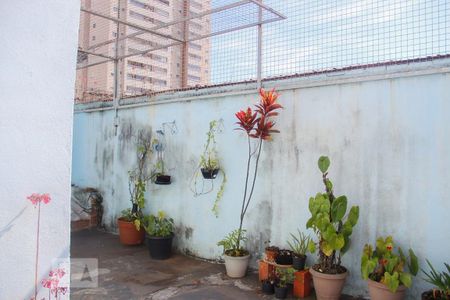 23_photo/94ce5d2c2f.33d4d0d2ada645c4-ATLAS-80aa3bee-d75f-4b96-84c6-fffceb09bec3.jpg de casa à venda com 2 quartos, 153m² em Campestre, Santo André