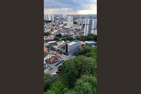 12_photo/94ce5f87bf.d4c489dcd5cc6f52-ATLAS-81d3e81c-c4da-425f-aee1-dd7af30a72f6.jpg de kitnet/studio para alugar com 1 quarto, 25m² em Vila Augusta, Guarulhos