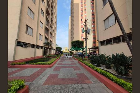 19_photo/94ce5ff541.8d3b0999df6175e6-ATLAS-195f3c0c-9d53-4feb-87ec-5a08dbb8fca3.jpg de apartamento à venda com 3 quartos, 85m² em Gopouva, Guarulhos