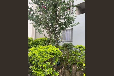 6_photo/94ce620ffd.47bcc83aeb0f20e1-ATLAS-3a83ee42-1368-4b30-b267-c29c1f573eef.jpg de apartamento à venda com 2 quartos, 45m² em Vila Izabel, Guarulhos