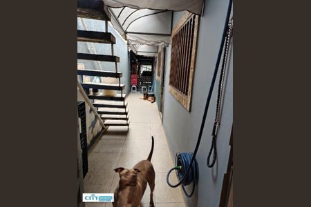 5_photo/94ce623fab.e98a0441d5514113-ATLAS-8b96cf60-c7f3-4cb9-a1ff-07a833f67079.jpg de casa à venda com 2 quartos, 165m² em Jardim Santa Maria, Guarulhos