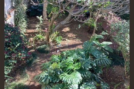 6_photo/94ce6265b9.6eaa33ef77f76814-ATLAS-2a5c11e5-0f92-4f60-8070-ed0b57797b17.jpg de casa à venda com 4 quartos, 235m² em Parque Jurema, Guarulhos