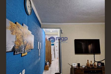 2_photo/94ce6275dd.5bc4e555b9c29fe3-ATLAS-3fc9fcfa-535a-48a7-bf52-ef7bfd4e7f43.jpg de casa à venda com 2 quartos, 224m² em Cidade Parque Brasilia, Guarulhos