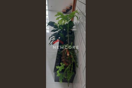 5_photo/94ce69e42d.d2e21db2babcc540-ATLAS-ee23051a-85e6-4855-8d61-8cfe4fa88ae3.jpg de casa à venda com 2 quartos, 77m² em Vila América, Santo André