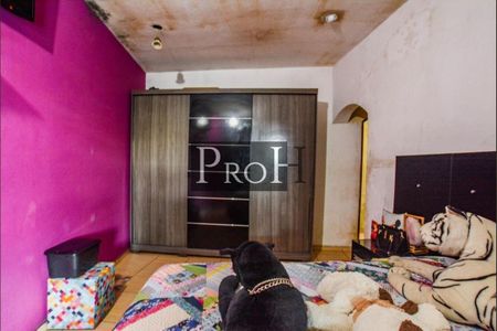 7_photo/94ce69f6a1.ceff8192393c33de-ATLAS-429e87a3-8d6b-4d04-9cad-2389d65e09a2.jpg de casa para alugar com 2 quartos, 34m² em Jardim Ipanema, Santo André