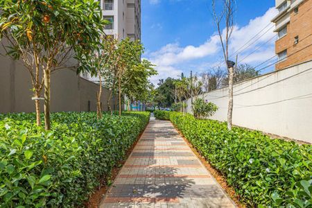 28_photo/94ce6a1875.b1cffb28622d2cbd-ATLAS-e2255faa-0db9-44cc-b1f8-efdf5a3441f4.jpg de kitnet/studio à venda com 1 quarto, 26m² em Vila Suíça, Santo André