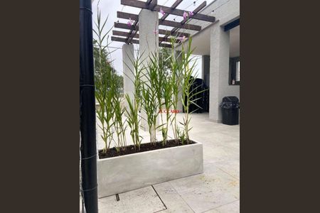 11_photo/94ce88312b.57a18c1cdaa5acce-ATLAS-80ef9b8f-dd66-4e7c-ad86-30aef3d88139.jpg de apartamento à venda com 2 quartos, 39m² em Vila Nova Bonsucesso, Guarulhos