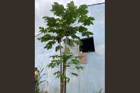 10_photo/94ce89b5d1.1f85094cffd9cdaa-ATLAS-97c4cffb-3d55-4ae5-be18-8ecb72c15b4b.jpg de casa à venda com 2 quartos, 158m² em Vila Nova Bonsucesso, Guarulhos