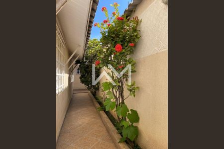 2_photo/94ce89f8ff.4cea1a0b3f6bbd2f-ATLAS-169220ac-6dd4-41a4-b38f-53ed1bf7f255.jpg de casa à venda com 4 quartos, 250m² em Jardim Presidente Dutra, Guarulhos