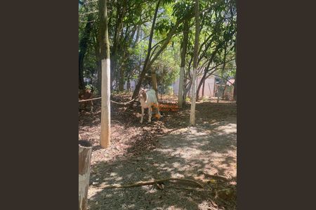 10_photo/94ce8ad7db.b6b3cf62817f4be0-ATLAS-30a5a75c-4545-49d8-8441-8ff03d9c3d09.jpg de apartamento à venda com 2 quartos, 49m² em Jardim Bela Vista, Guarulhos