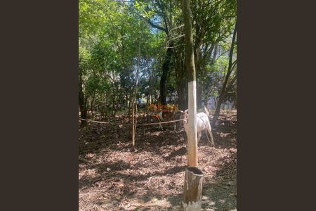 4_photo/94ce8ad7db.b6b3cf62817f4be0-ATLAS-50036b49-0707-45ca-84bb-6d997eddbd7d.jpg de apartamento à venda com 2 quartos, 49m² em Jardim Bela Vista, Guarulhos