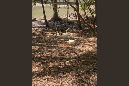 1_photo/94ce8ad7db.b6b3cf62817f4be0-ATLAS-df9cca46-3169-462c-b61c-4b3acd9f89c1.jpg de apartamento à venda com 2 quartos, 49m² em Jardim Bela Vista, Guarulhos