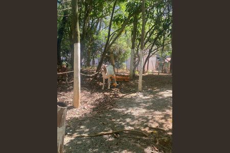 9_photo/94ce8ad7db.f35981d556145998-ATLAS-3983f0ff-cb70-4f84-9cb5-e10f2992b0ec.jpg de apartamento para alugar com 2 quartos, 49m² em Jardim Bela Vista, Guarulhos