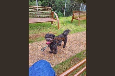 10_photo/94ce8b081b.86b83947c632eb4d-ATLAS-cb2ea4cb-3e10-4a5d-89c1-2543e23ea57a.jpg de apartamento à venda com 2 quartos, 43m² em Jardim Sao Domingos, Guarulhos