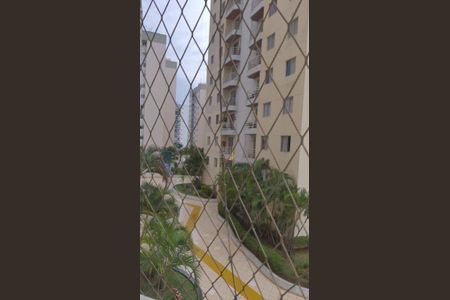 8_photo/94ce8b2c91.58ae5a3e6b3e5c8e-ATLAS-576f716d-317b-4b96-826d-d075e5908a2c.jpg de apartamento para alugar com 2 quartos, 50m² em Macedo, Guarulhos