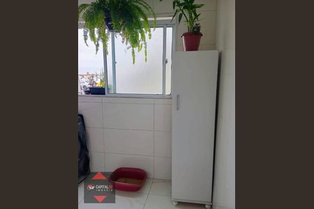 10_photo/94ce8b2f97.3c3fcf0faae4c144-ATLAS-b9c950e6-7166-44f6-bb48-19c5d21bea71.jpg de apartamento à venda com 2 quartos, 57m² em Jardim Odete, Guarulhos