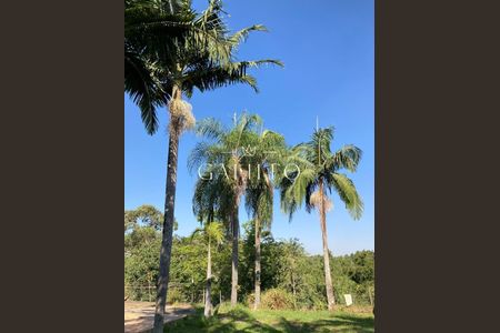 24_photo/94ced885c9.b77e7a1178258964-ATLAS-c767c919-8159-413a-8d1b-1d111d36e255.jpg de casa à venda com 3 quartos, 401m² em Ivoturucaia, Jundiaí