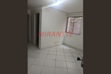 8_photo/94cef46865.9612c2c0390caf5f-ATLAS-e4bbb6c9-cbc9-4050-a95b-51b15728abed.jpg de apartamento para alugar com 2 quartos, 55m² em Jardim Sao Luiz, Guarulhos