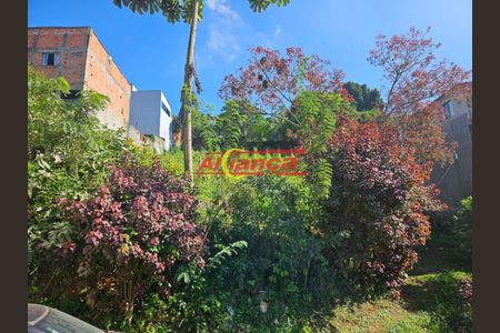 7_photo/94cef4a9f5.ae51fdf35dd2c9d6-ATLAS-84cce5d2-284d-4291-acd2-064c26666df4.jpg de casa à venda com 1 quarto, 800m² em Recreio São Jorge, Guarulhos