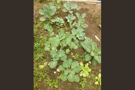 7_photo/94cef4c459.3fd668af6fc4f093-ATLAS-8eaf4cb5-49a2-4cfe-9aa0-a9fa28ce20fd.jpg de casa à venda com 2 quartos, 125m² em Jardim Adriana, Guarulhos