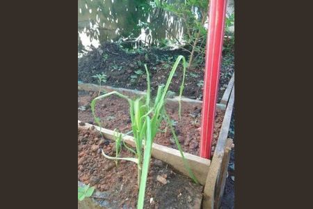 5_photo/94cef4c459.3fd668af6fc4f093-ATLAS-eb2fbe1f-cf79-4a0c-9d0c-fb98dab7e299.jpg de casa à venda com 2 quartos, 125m² em Jardim Adriana, Guarulhos