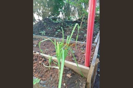 3_photo/94cef4c56d.16787a6ea0be7e8a-ATLAS-4a9d2a8e-6634-4a43-a444-06d5b76ddb55.jpg de casa à venda com 2 quartos, 450m² em Jardim Adriana, Guarulhos