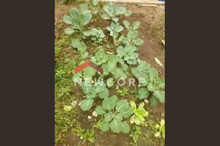 8_photo/94cef4c56d.16787a6ea0be7e8a-ATLAS-531b5abd-8e77-4eff-88eb-7f22f1c84a6d.jpg de casa à venda com 2 quartos, 125m² em Jardim Adriana, Guarulhos