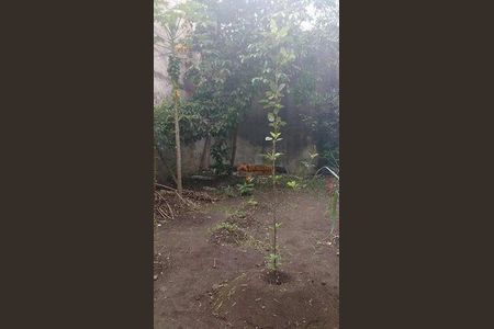 7_photo/94cef4c56d.16787a6ea0be7e8a-ATLAS-7d0912ea-6f16-4617-9579-b056c4ebf3a4.jpg de casa à venda com 2 quartos, 450m² em Jardim Adriana, Guarulhos