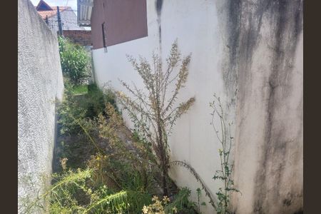 9_photo/94cef4ddc9.fe96b63aec789ef1-ATLAS-e652c82b-8847-4ee5-b73e-73464f96621f.jpg de casa para alugar com 1 quarto, 50m² em Vila Bremen, Guarulhos