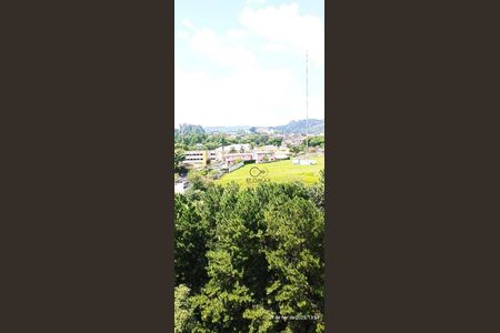 5_photo/94cef4e329.cbd1ba3c47a84b5c-ATLAS-c9342bc5-c726-4375-9aab-dd49df2585ef.jpg de apartamento para alugar com 2 quartos, 60m² em Picanço, Guarulhos